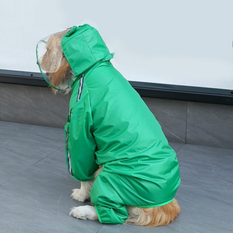 Gabardina impermeable con diseño de rana para mascotas - Imagen 2