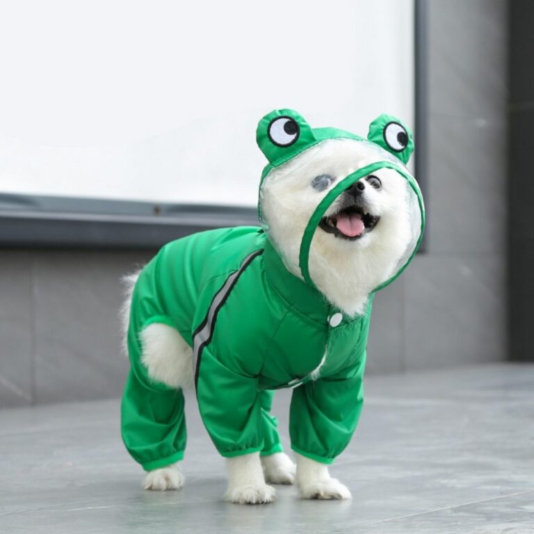Gabardina impermeable con diseño de rana para mascotas - Imagen 5