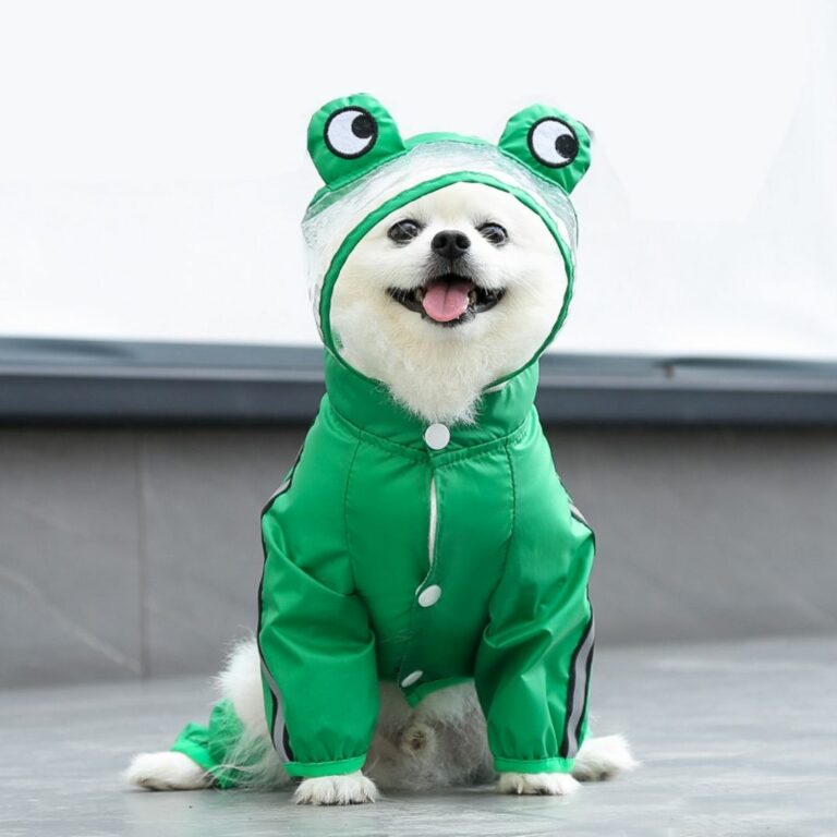 Gabardina impermeable con diseño de rana para mascotas - Imagen 3