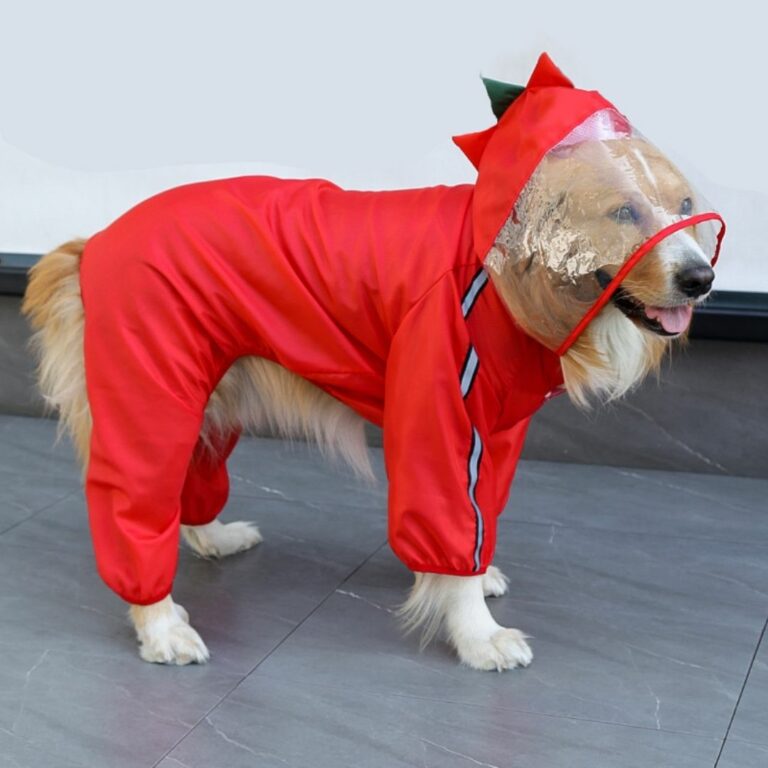 Gabardina impermeable roja para mascotas - Imagen 7