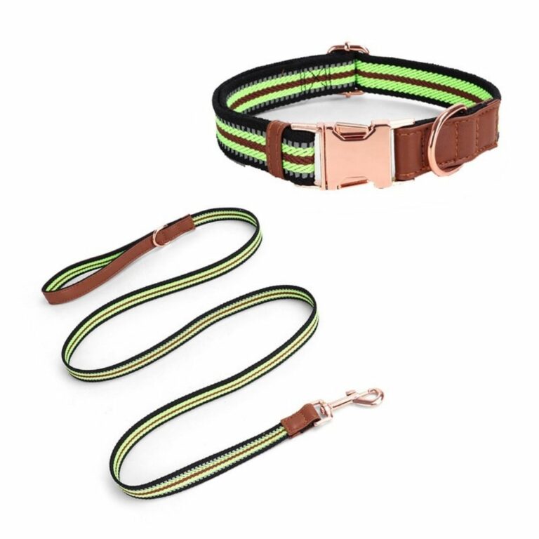 Collar y correa verde con negra para mascotas