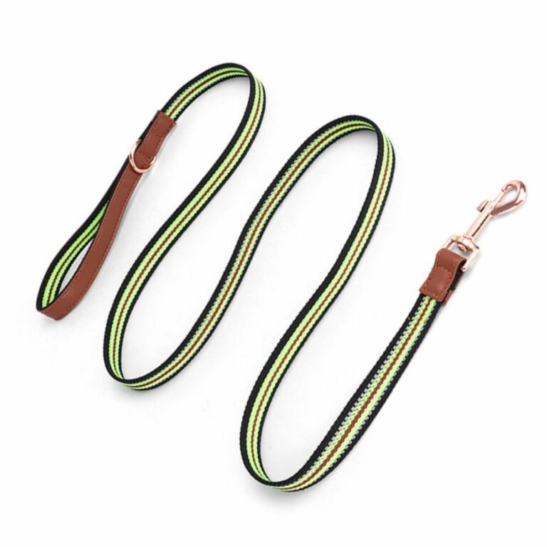 Collar y correa verde con negra para mascotas - Imagen 2