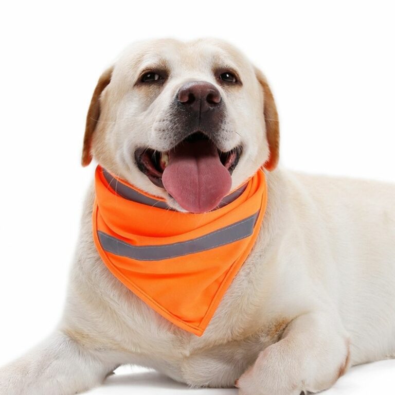 Pañoleta brillante naranja para mascotas