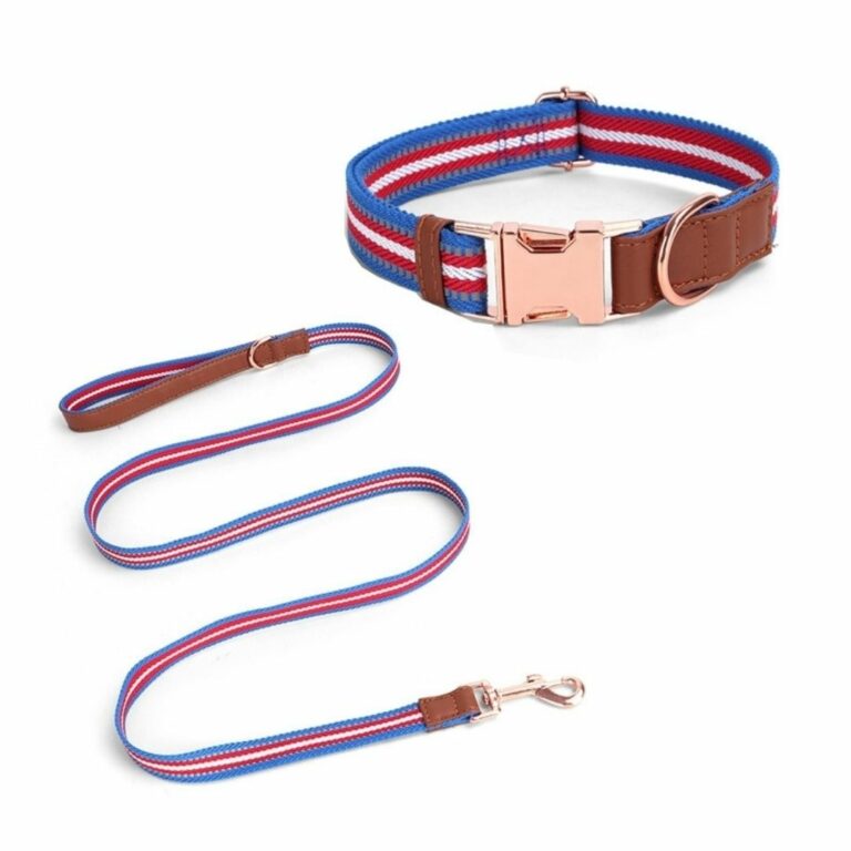 Collar y correa azul con rojo para mascotas