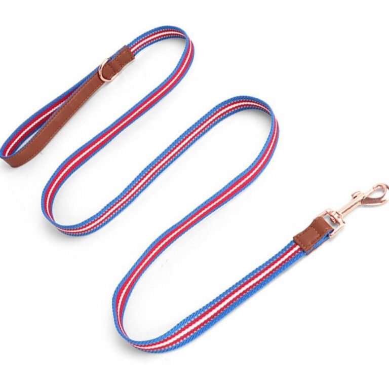 Collar y correa azul con rojo para mascotas - Imagen 2
