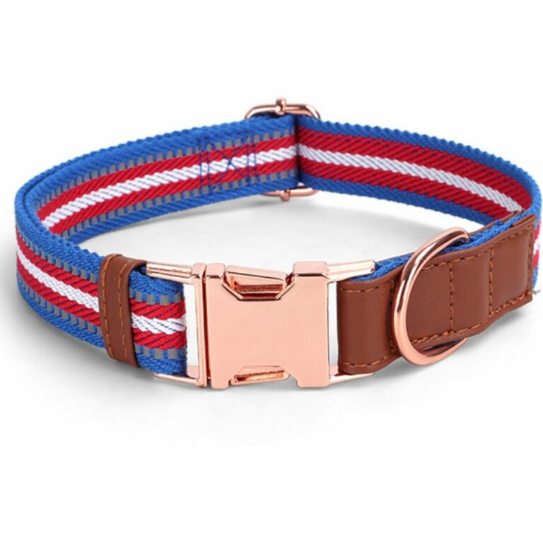 Collar y correa azul con rojo para mascotas - Imagen 3