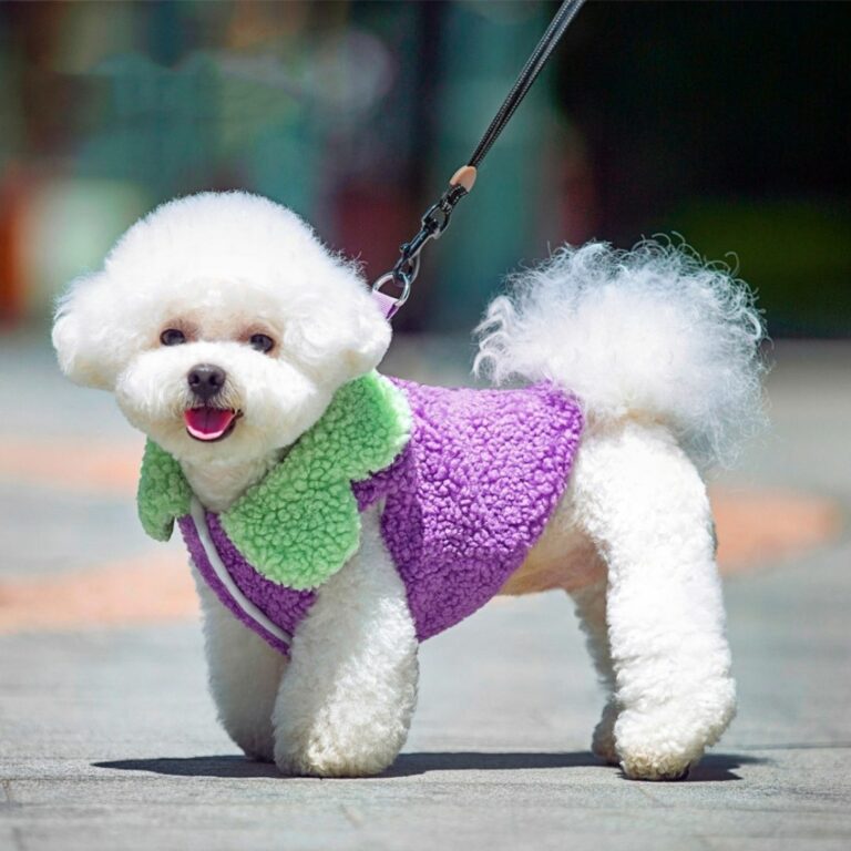 Suéter estilo abrigo modelo uva para mascota pequeña