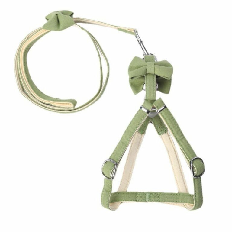 Pechera verde con correa para mascotas - Imagen 3