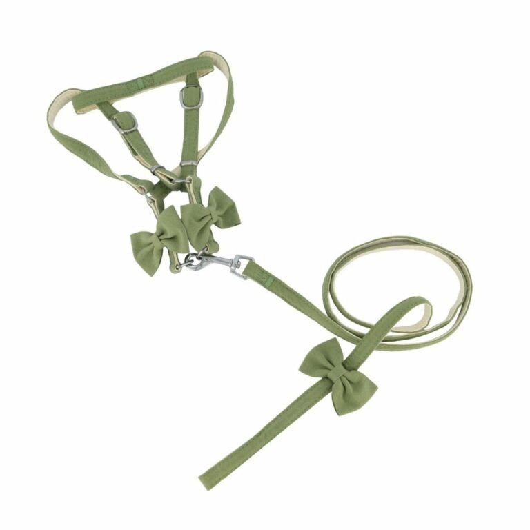 Pechera verde con correa para mascotas - Imagen 4