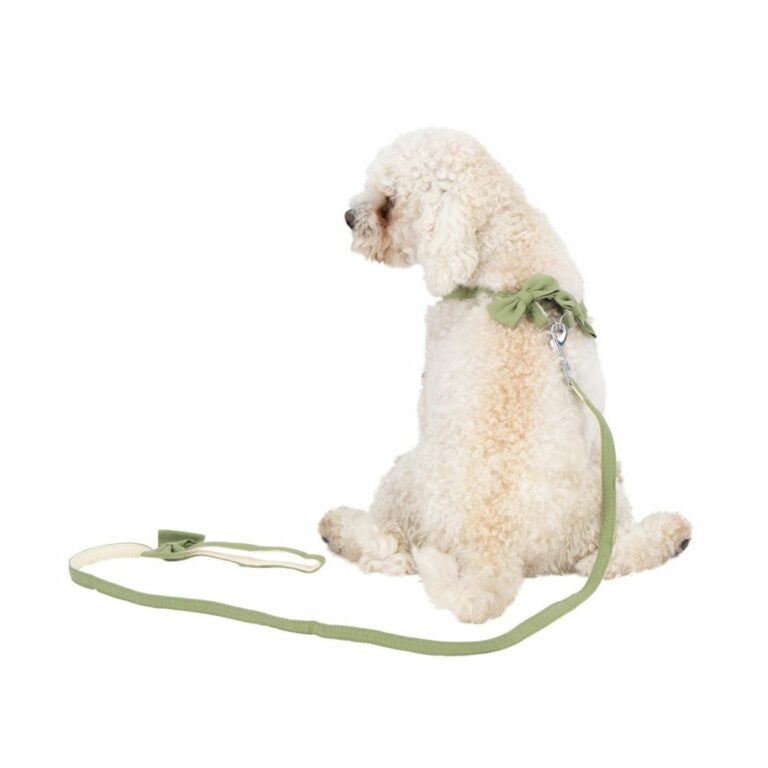 Pechera verde con correa para mascotas - Imagen 2