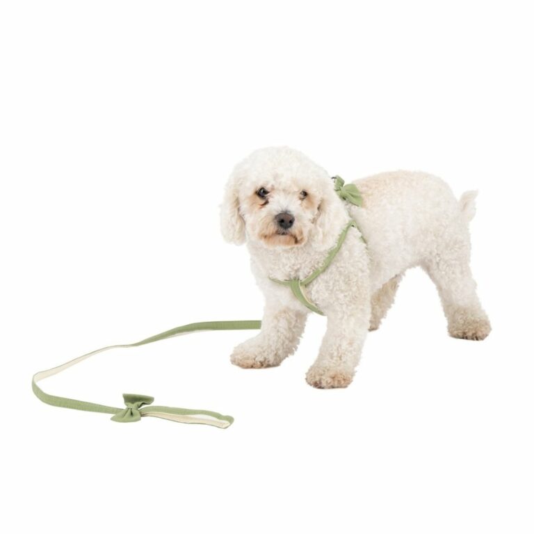 Pechera verde con correa para mascotas