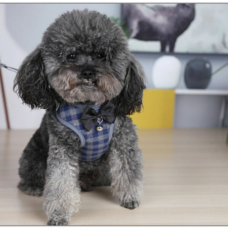 Pechera de cuadros azul y gris con correa para mascotas - Imagen 4