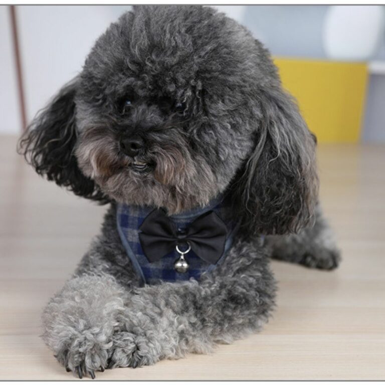 Pechera de cuadros azul y gris con correa para mascotas - Imagen 5