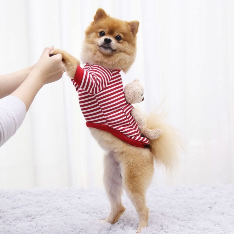 Sudadera rayada roja con osito de peluche para mascotas - Imagen 2