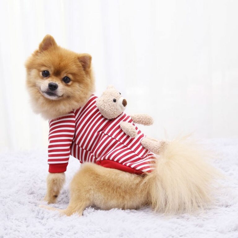 Sudadera rayada roja con osito de peluche para mascotas - Imagen 3