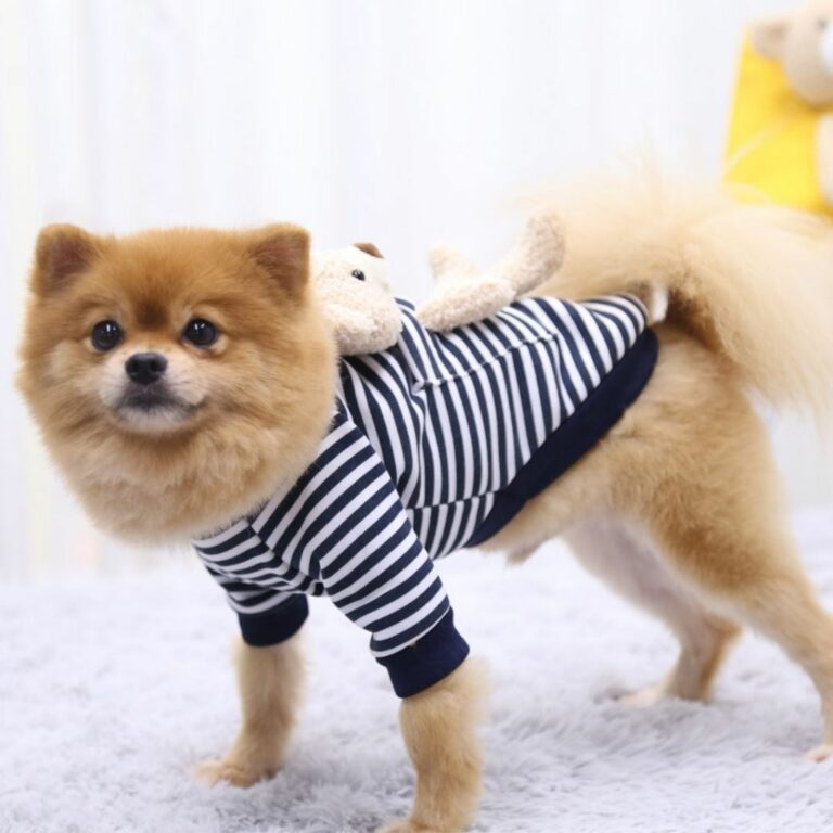 Sudadera rayada azul con osito de peluche para mascotas - Imagen 3