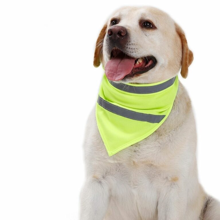 Pañoleta brillante amarilla para mascotas - Imagen 2