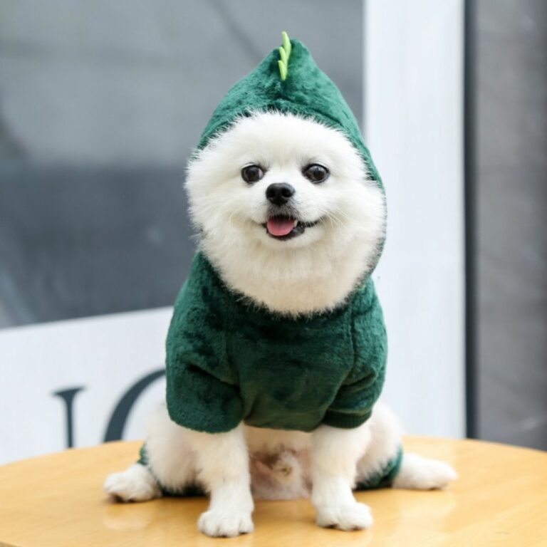 Sudadera con diseño de dinosaurio verde para mascotas - Imagen 2