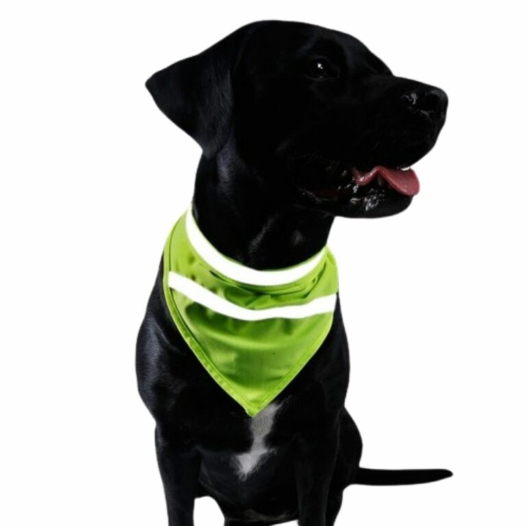 Pañoleta brillante amarilla para mascotas
