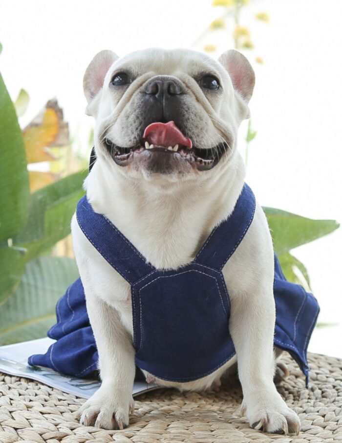 Maypet | Vestido para mascota de mezclilla con camiseta rosa y decoración de flor - Imagen 4