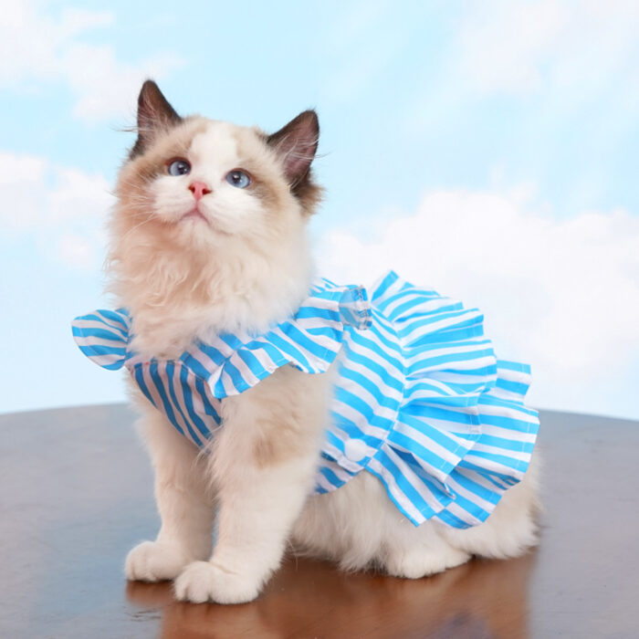 Maypet | Vestido de verano para mascota de rayas celeste - Imagen 4