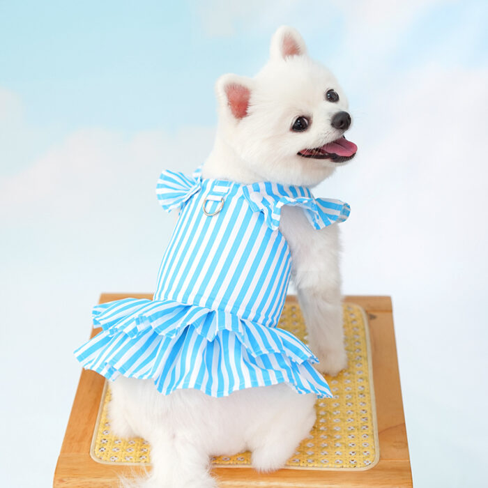 Maypet | Vestido de verano para mascota de rayas celeste - Imagen 5