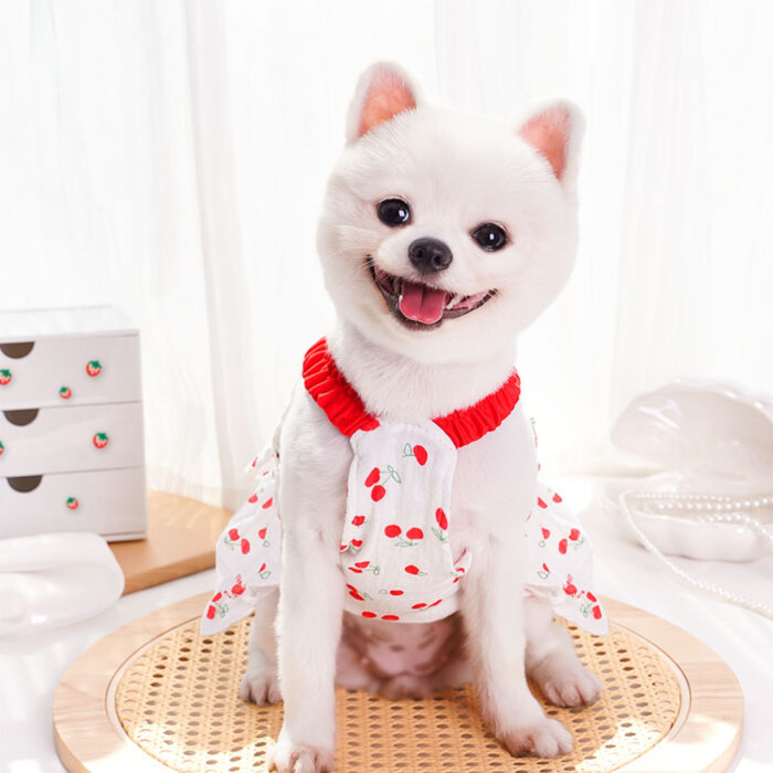 Maypet | Vestido de verano para mascota de cerezas - Imagen 4