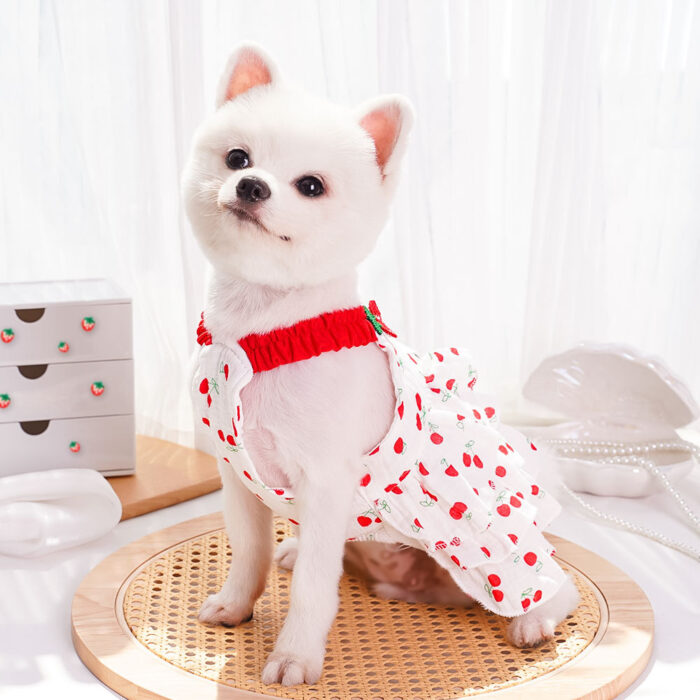 Maypet | Vestido de verano para mascota de cerezas - Imagen 2