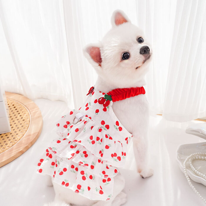 Maypet | Vestido de verano para mascota de cerezas - Imagen 8