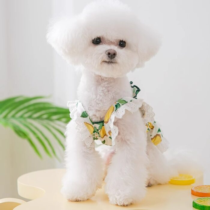 Maypet |Vestido para mascota de verano con decoración de limones - Imagen 2