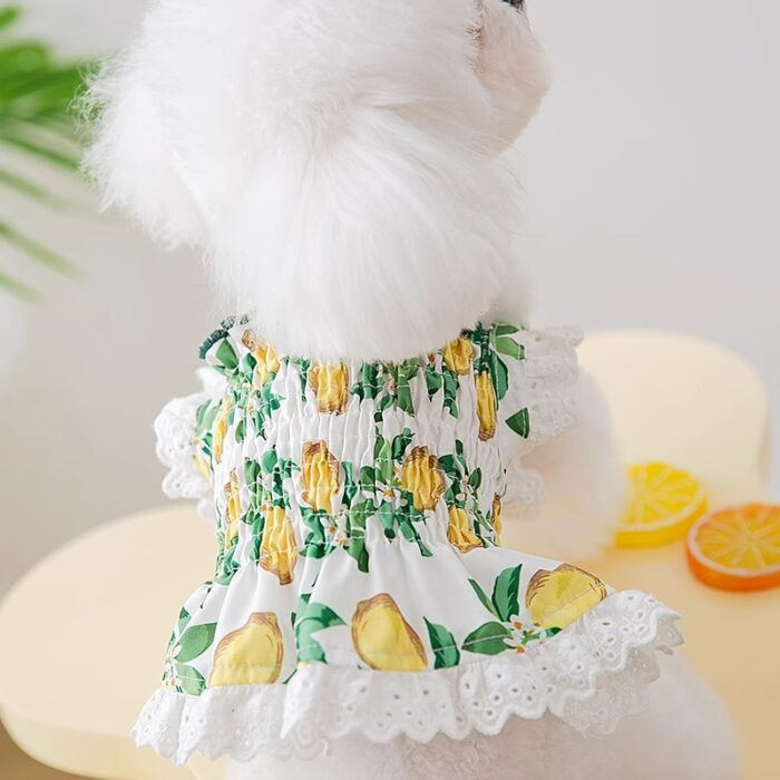 Maypet |Vestido para mascota de verano con decoración de limones - Imagen 3