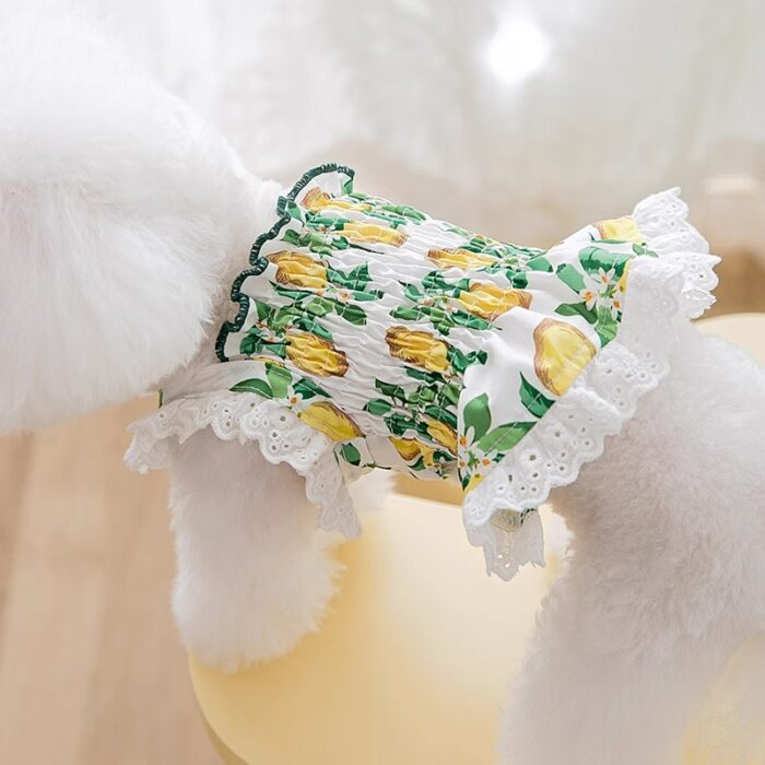Maypet |Vestido para mascota de verano con decoración de limones - Imagen 4