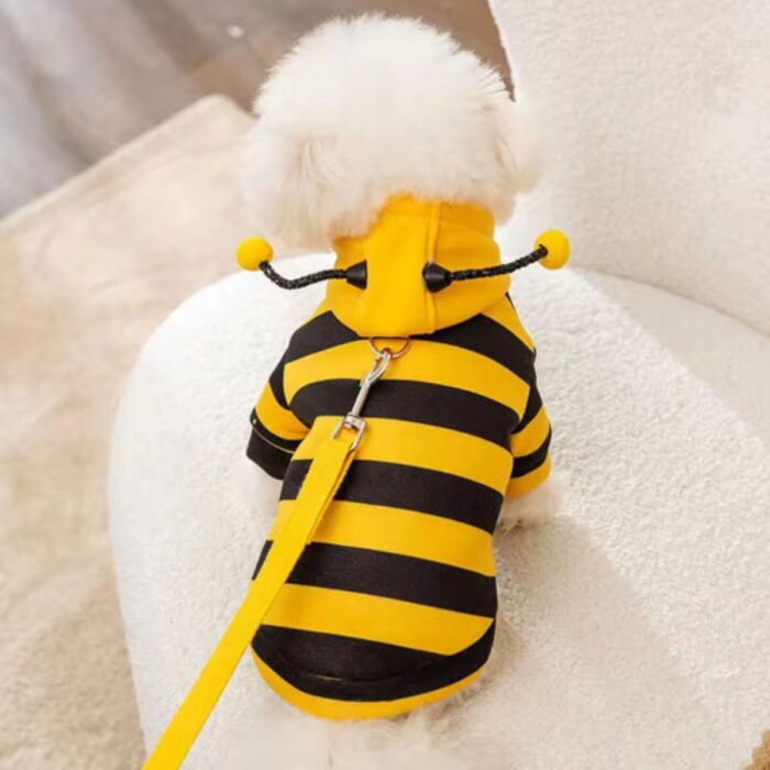 MAYPET| Camiseta para mascota con diseño de Abejita. - Imagen 2